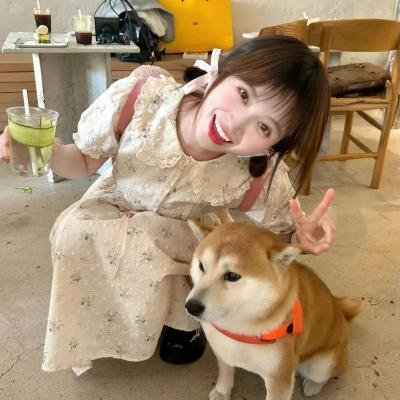 汪汪队立大功第四季